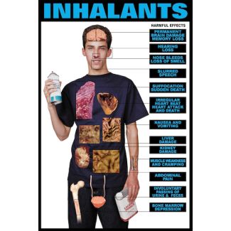 Harmful Effects of Inhalants Chart, Laminated 24" x 36"