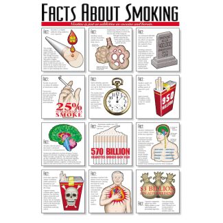 Facts About Smoking Chart, Laminated 24" x 36"