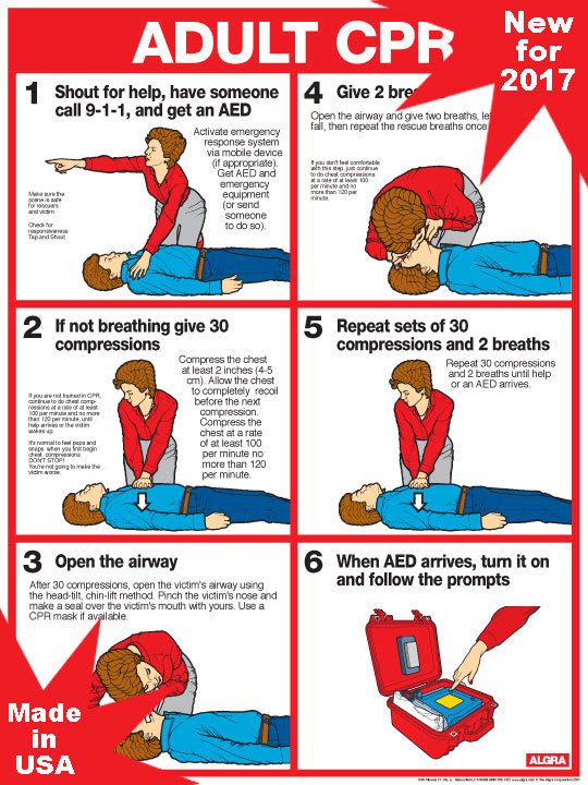 Adult CPR Chart, Laminated 18